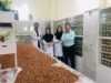 نیکان نوین بذر پویا