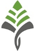  دانش پردازش کاج پارس