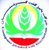 پاییز کشت کردستان